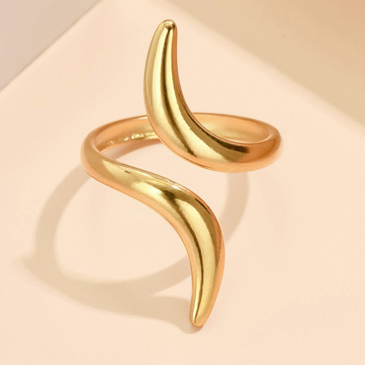 Anneau en acier inoxydable